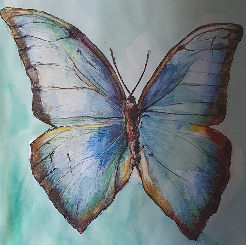 Schmetterling