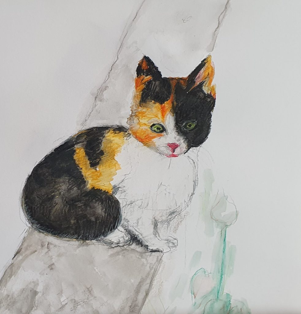 Katzen